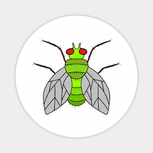 BUZZ Off Fly - Cute Fly Art Magnet